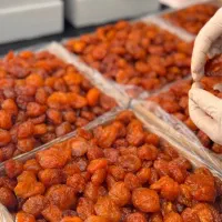 انواع آلو و برگ هلو