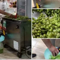 آبگیری گوجه،غوره،انگور،آلبالو