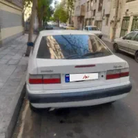 زانتیا سفید