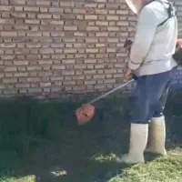 خدمات باغی|خدمات باغبانی و درختکاری|گنبد کاووس, |دیوار