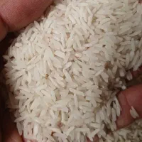 عرضه کننده برنج ایرانی هم عمده وهم خرده