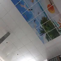 نصاب سقف کاذب تایل ۶۰در۶۰ و پی وی سی|خدمات پیشه و مهارت|مشهد, جاهد شهر|دیوار