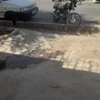 برگ پارکین گمشده