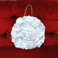 کیف کادو و شاباش و هدایای عروس|کیف، کفش، کمربند|رشت, پاستوریزه|دیوار