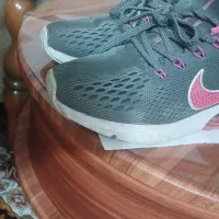 کفش|کیف، کفش، کمربند|سقز, |دیوار