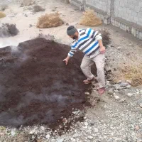 کود سرندی و کود گاوی صنعتی و خاک باغچه