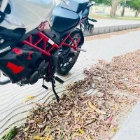 بنلی 250|موتورسیکلت|قشم, |دیوار