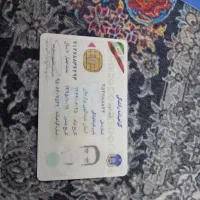 تعدادی کارت بانکی و یک عدد گواهینامه پیداشده