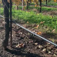 آبیاری قطره ای