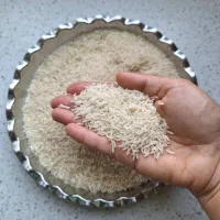 برنج درجه یک گیلان (ارسال رایگان)