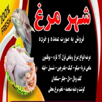 فروش مغازه مرغ و ماهی با کلیه ی تجهیزات فوری