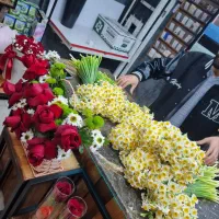 گل نرگس خفر|گل و گیاه طبیعی|شیراز, لاله|دیوار