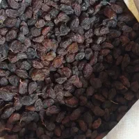 مویز گوشتی درجه ۱ اعلا