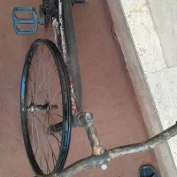 دوچرخه ۲۴|دوچرخه، اسکیت، اسکوتر|الوند, |دیوار