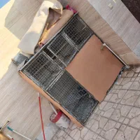 قفس پرنده کفتر|لوازم جانبی حیوانات|سبزوار, قصبه غربی|دیوار