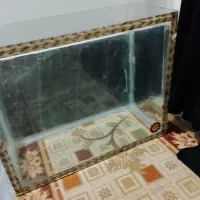 اکوایم