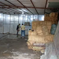 اجاره سوله ، سالن ،انبار ،کارگاه 300متری|اجارهٔ دفتر صنعتی، کشاورزی، تجاری|رباط‌کریم, کیکاور|دیوار