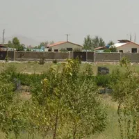 باغ-بادام-سنددار-با-مجوز-ساخت