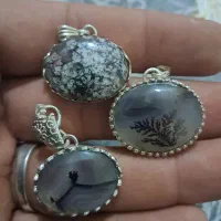 گردنی نقره شجر