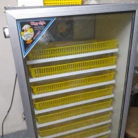 دستگاه جوجه کشی|ابزارآلات|قائم‌شهر, |دیوار