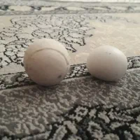 سنگ اسیاب|کلکسیون اشیاء عتیقه|چهاردانگه (تهران), |دیوار