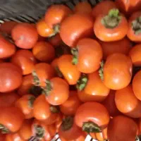 خرمالو خوشمزه