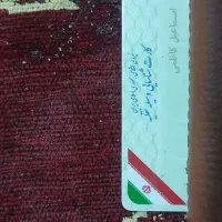 مقداری مدارک پیدا کردم