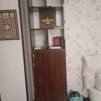 جاکفشی