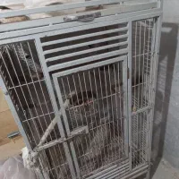 قفس پرنده در ابعاد مختلف