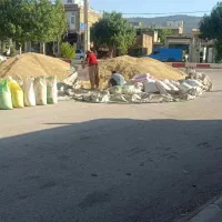 فروش جو