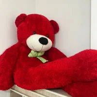 خرس تدی|اسباب‌بازی بچه|زاهدان, |دیوار