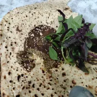 بریان مخصوص (دایی اسی)