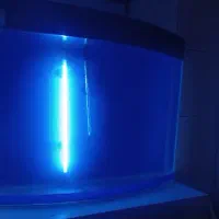 اکواریم|ماهی|زنجان, |دیوار