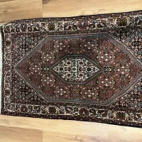 زرونیم بیجار