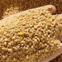 دانه پارس و پلت