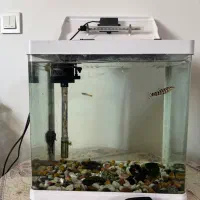 آکواریوم به همراه لوازم و ماهی