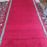 فرش|فرش|تهران, هلال احمر|دیوار