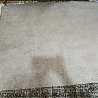 موکت پالاز ، طوسی