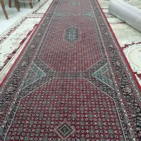 یک جفت فرش کناره|فرش|اردبیل, |دیوار
