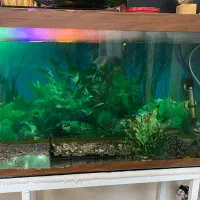 شیشه آکواریوم خالی