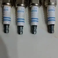 وسایل|گل و گیاه طبیعی|پاکدشت, خاتون آباد|دیوار