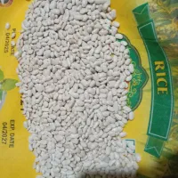 لوبیا سفید|گل و گیاه طبیعی|دینور, |دیوار