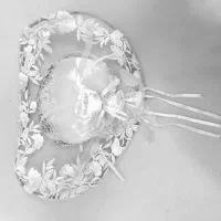 لباس عروس سه بعدی|لباس|زنجان, |دیوار