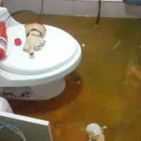 لوله بازکنی فنرزن چاه بازکن (تمام نقاط)۴۵٪تخ فوری/