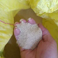 بذر کشاورزی|حراج|نورآباد, |دیوار