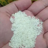 برنج شمال اعلا|خوردنی و آشامیدنی|کرج, شهرک بنفشه|دیوار