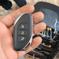 پیدا شده