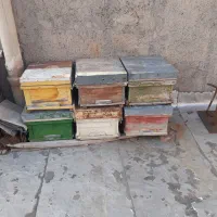 کندوی خالی زنبور