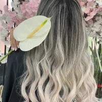 آموزش حرفهای رنگ و لایت مو ،آموزش عملی ،صفرتاصد|خدمات آموزشی|مشهد, سجاد شهر|دیوار