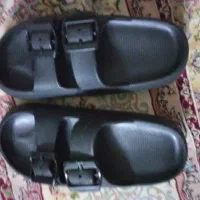 به همه پای میخوره